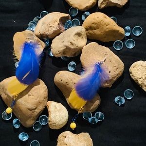 Colorful Feather Earrings